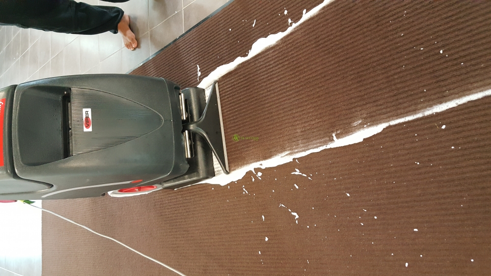 Viper Carpet Extractor Cleaning Machine Denmark