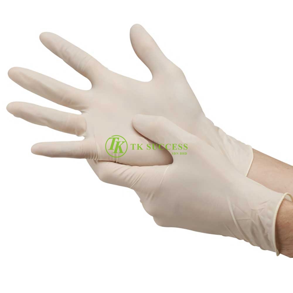 Latex Glove (Powder Free)
